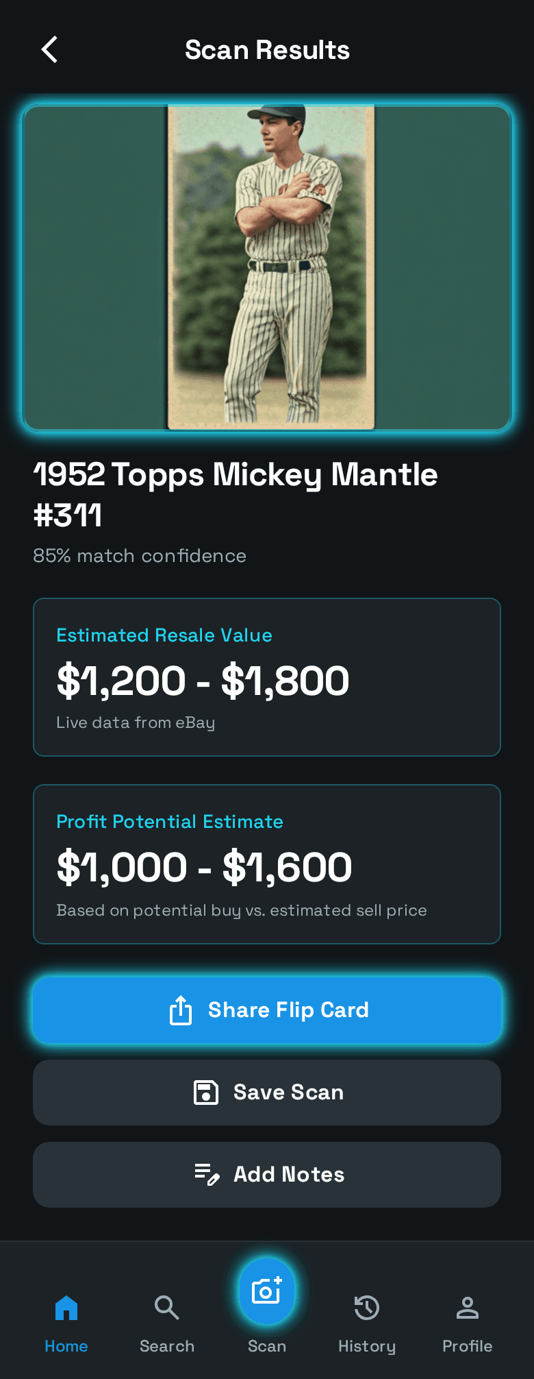 Flipper47 app screenshot showing item identification and price estimation.